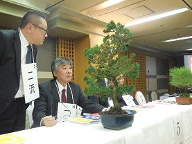 一番高級なのは・・・うーん・・・